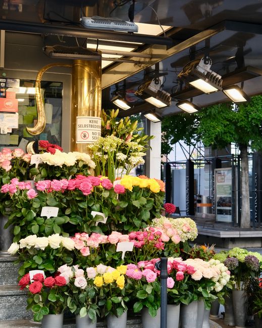 https://canonburyflowers.co.uk/blog/best-flowers-for-businesses-on-upper-street-canonbury/
