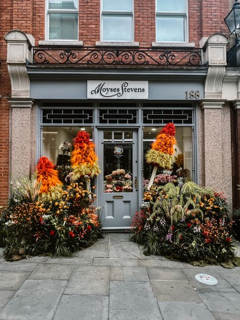 The exterior of Moyses Stevens floral shop on Upper Street Canonbury features a large display of vibrant, tall floral arrangements with red, orange, yellow, and cream-colored flowers, creating a strik