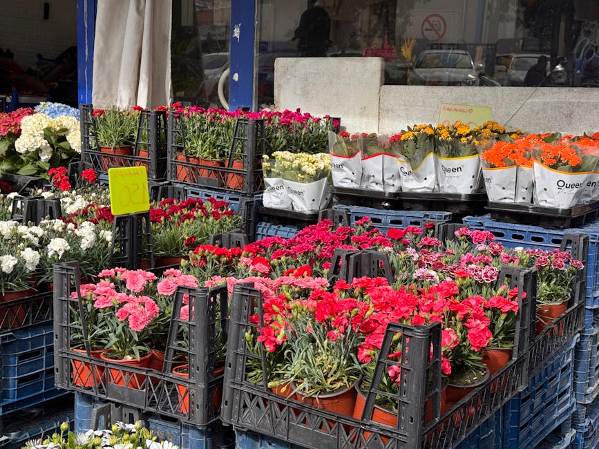 A display of various flowering plants arranged in black plastic crates outside a retail shop, featuring pink, white, red, orange, and yellow flowers in terracotta pots. The plants include carnations, 