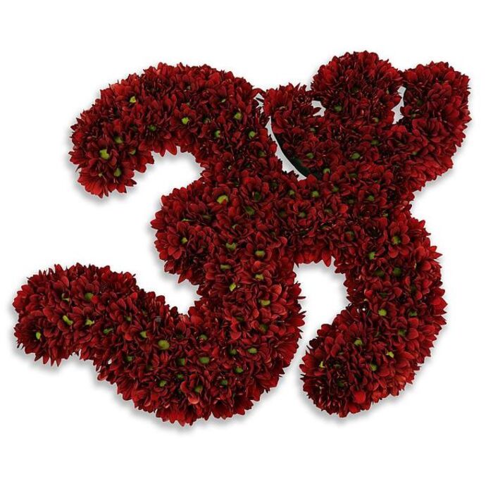 A striking, meticulously assembled floral number 33, created from hundreds of small, deep burgundy button chrysanthemums densely massed to form two distinct, voluptuous threes. The blossoms are so closely packed they create a plush, velvety surface that reads almost like fabric; scattered bright-green centers and tiny leaf accents thread through the crimson mass, offering subtle highlights that enliven the texture. The numerals rest on a pristine white field, the high-contrast setting sharpening the contour of each curve, while a soft gray shadow beneath gives the impression of a slight lift, an elegant floating effect that adds sculptural depth. The overall mood is celebratory yet refined - suitable for a thirty-third birthday, an anniversary, a commemorative display, or a sporting tribute - and it carries the quiet dignity of a thoughtfully assembled floral statement. As a florist who knows the lanes around Canonbury - from the calm of Canonbury Square to the bustle near Essex Road market - I picture this piece arriving at a private party on Newington Green or set at the centre of a milestone event on Upper Street. The craftsmanship is evident in the even packing, the consistent colour depth, and the understated contrast of greenery. Prepared and dispatched with care by Canonbury Flowers for local delivery, this floral 33 reads as both jubilant and substantial: a tactile, living numeral that marks a moment with warmth and precision.