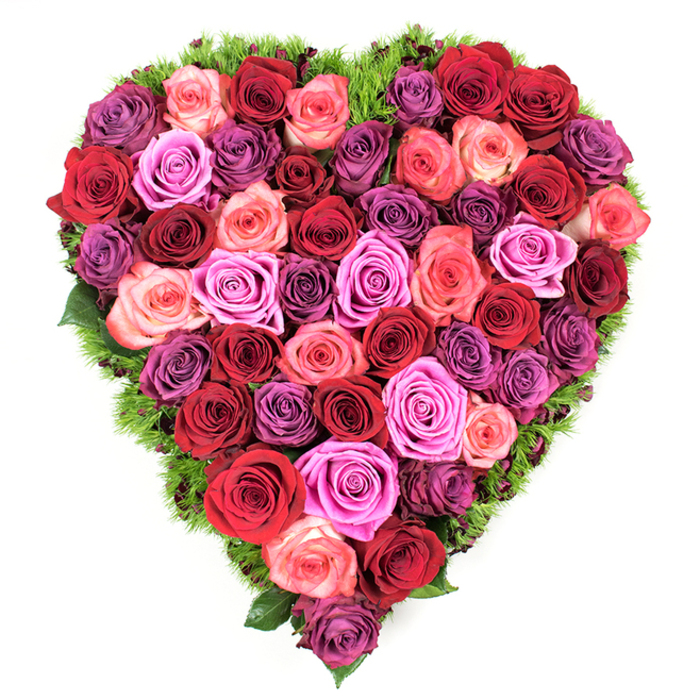 From an overhead vantage the heart shape reads with absolute clarity: every inch packed with fresh, fully opened roses that together create a luxuriant, textured surface. The colour arrangement is intentionally varied yet harmonious - deep scarlets and burgundy anchor the design, while bands of blush pink, coral, fuchsia and soft lavender weave through, and richer plum tones add shadowed contrast. Each bloom displays soft, velvety petals with gently curled edges; the mix of tightly furled centers and wide-open rosettes gives the piece a living, breathing rhythm. Encircling the heart is a narrow border of fine, springy dark green foliage, reminiscent of maidenhair fern or a mossy underlay, which both defines the silhouette and offers a cool counterpoint to the warm flower tones against the clean white background.
The lighting is gentle and diffuse, picking out the sheen of petals and the delicate shadows that lend dimensionality. The overall effect is both intimate and formal - suitable for weddings and anniversaries as much as for a dignified funeral tribute. I think of arranging something like this for a client near Upper Street or Chapel Market, pausing to sample the faint, heady perfume of roses while trimming stems. The craftsmanship is evident in the seamless colour transitions and the meticulous filling of the heart, a gesture that speaks to deep affection, remembrance, and the quiet eloquence of flowers.